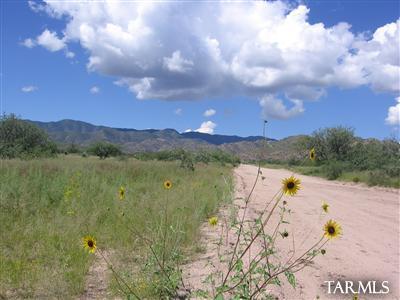 1 Lot On Stronghold & Palm Road Cochise, AZ 85606 - Photo 2 of 8