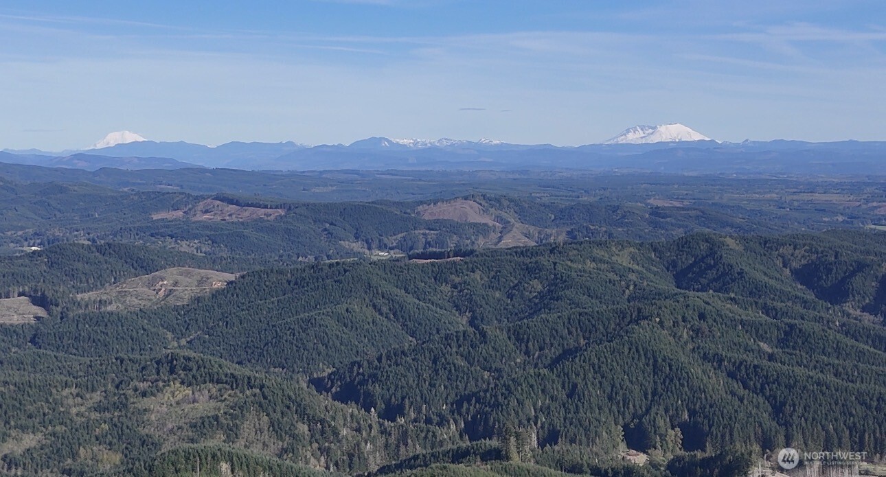 2916 Little Hanaford Road Centralia, WA 98531 - Photo 13 of 14