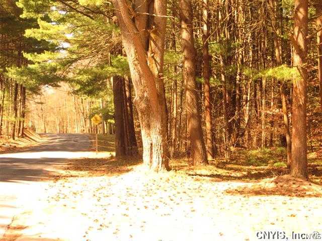 Lot 2 Elpis Road Cleveland, NY 13042 - Photo 4 of 8 Gallery Image 4