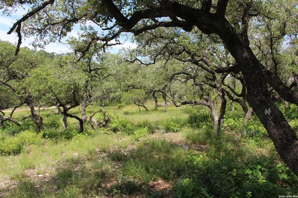 $240,000 | Lot 52 Clear Water Canyon, Helotes, TX 78023