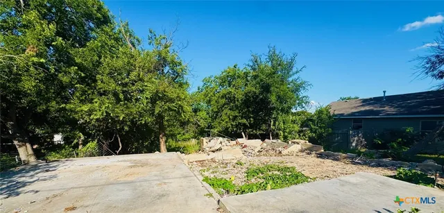 a view of a backyard that has plants and large trees