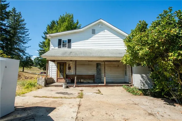 a view of a yard with a tree