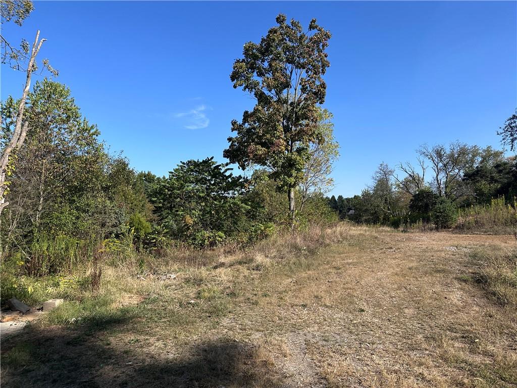 1698 Old Brodhead Road Monaca, PA 15061 - Photo 34 of 34 a view of a yard with a tree