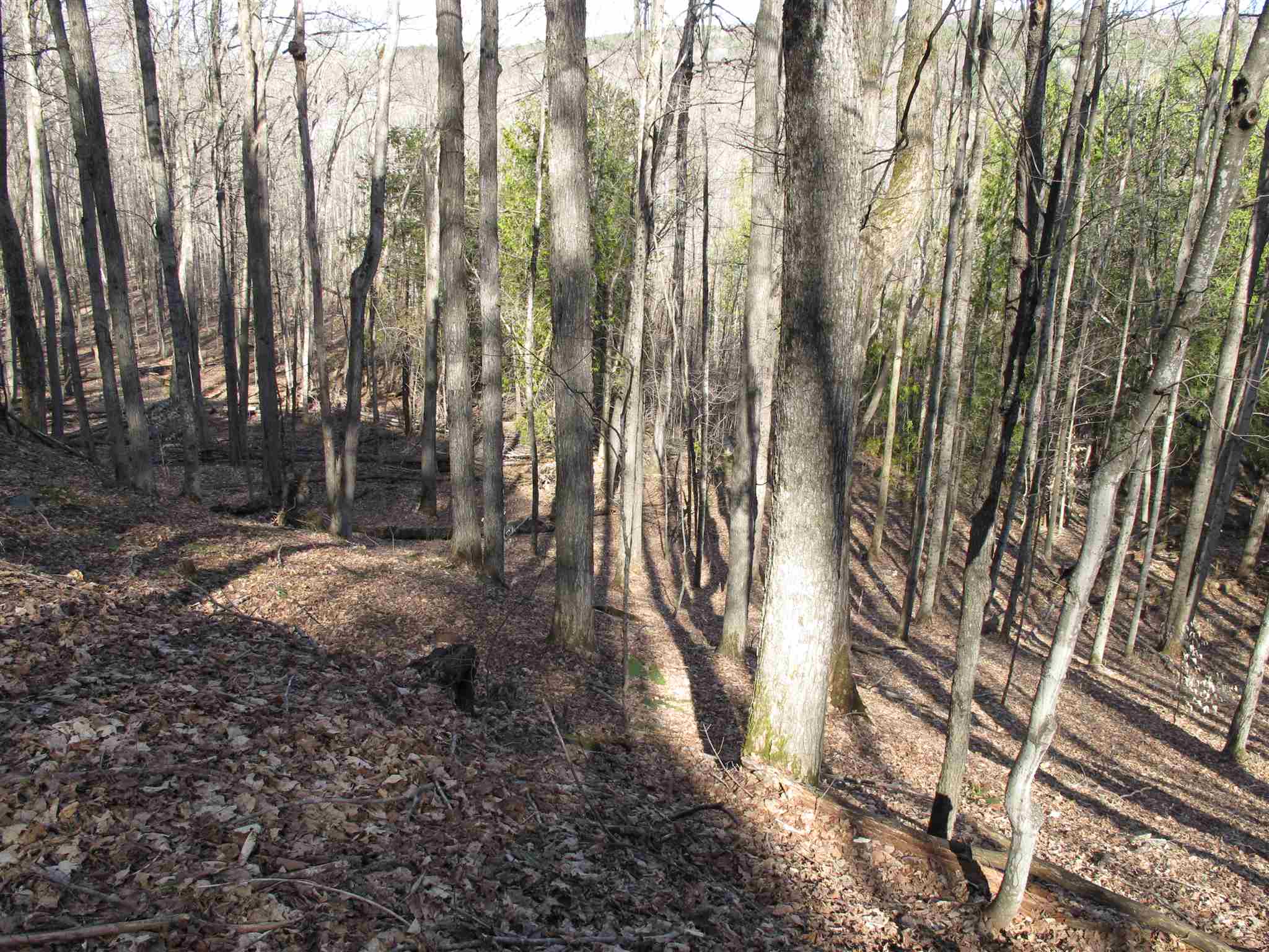 Lot 3 Mirror Lake Road, Unit LOT 3 Berlin, VT 05602 - Photo 3 of 17 Gallery Image 3