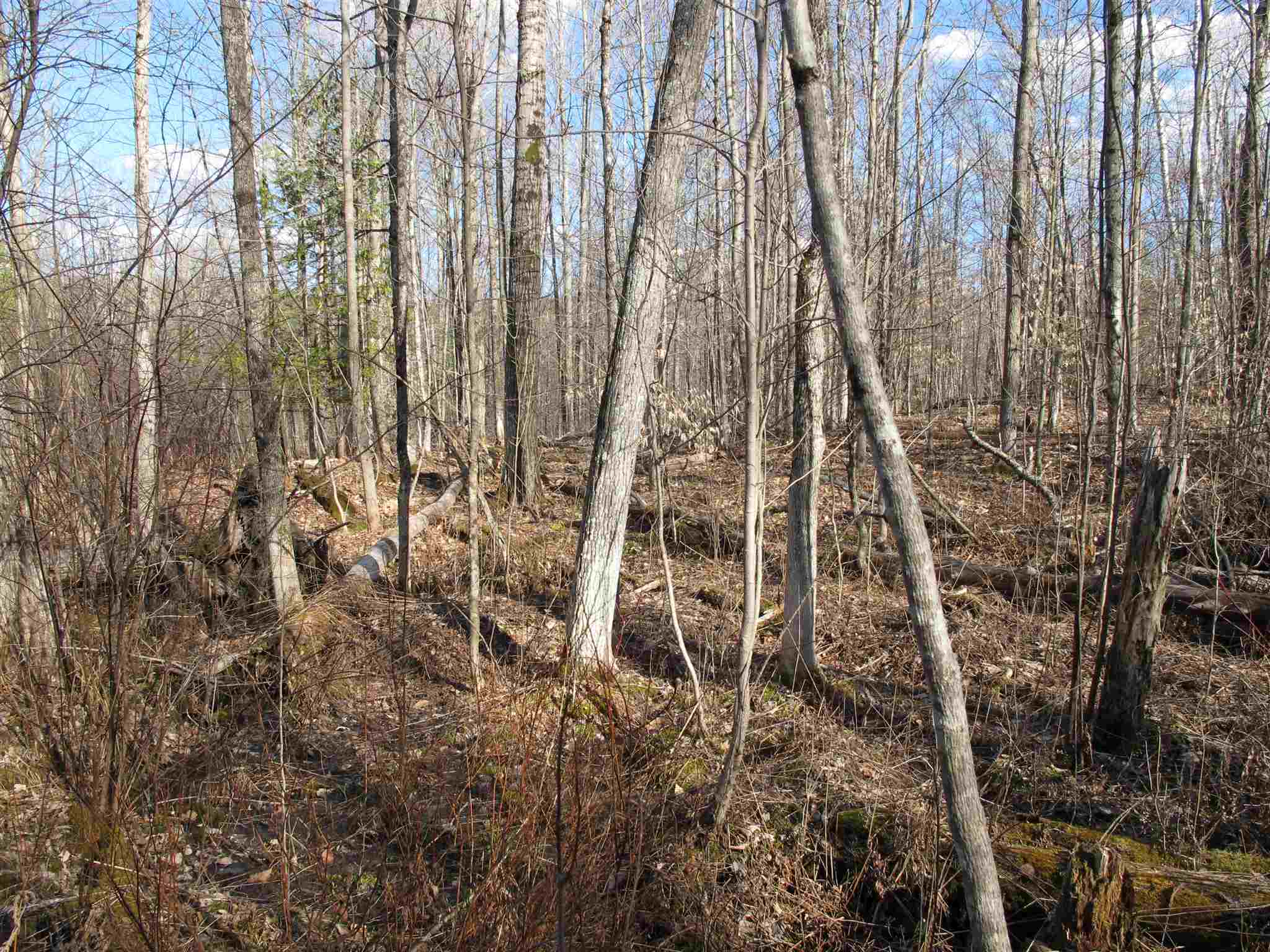 Lot 3 Mirror Lake Road, Unit LOT 3 Berlin, VT 05602 - Photo 8 of 17 Gallery Image 8