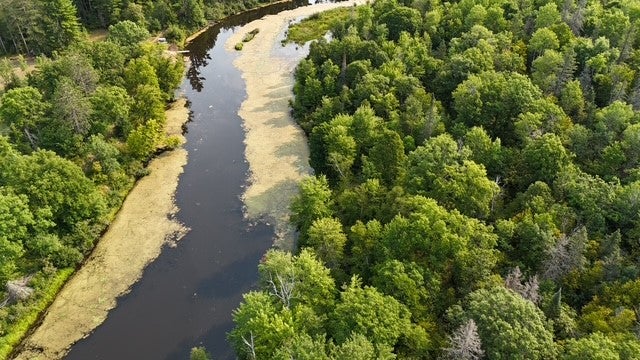 0 Colton Road Minong, WI 54859 - Photo 15 of 22 Gallery Image 15
