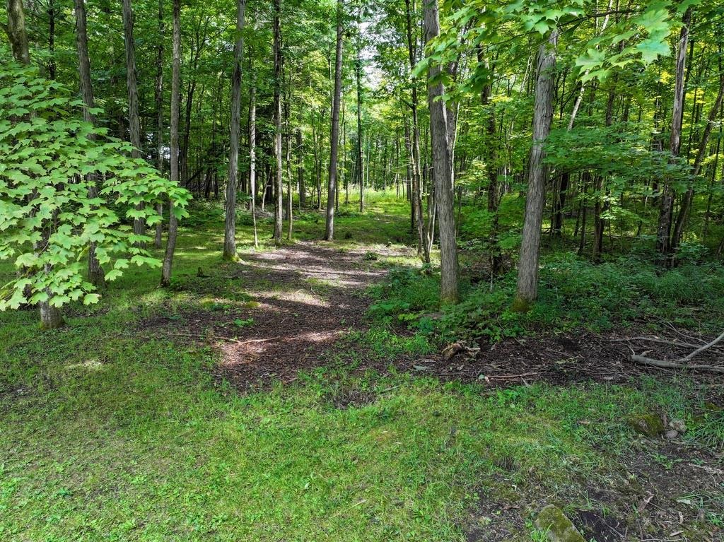 98 Stevens Orchard Road Orwell, VT 05760 - Photo 36 of 40
