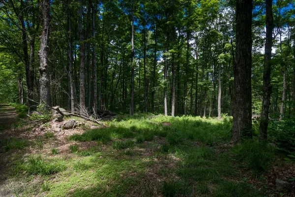 $50,000 | 91 Lynes Road, Chester, MA 01011