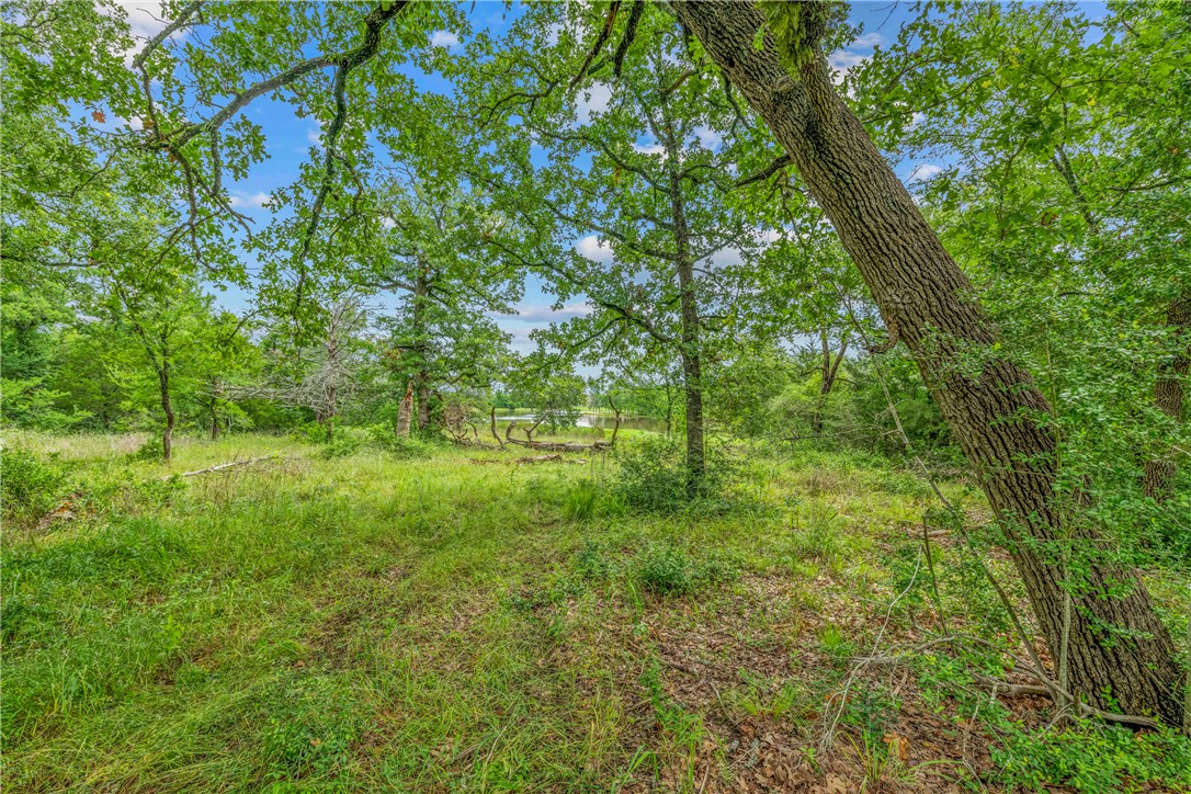 6922 McCrae Lane Bryan, TX 77808 - Photo 4 of 18 a view of yard with green space