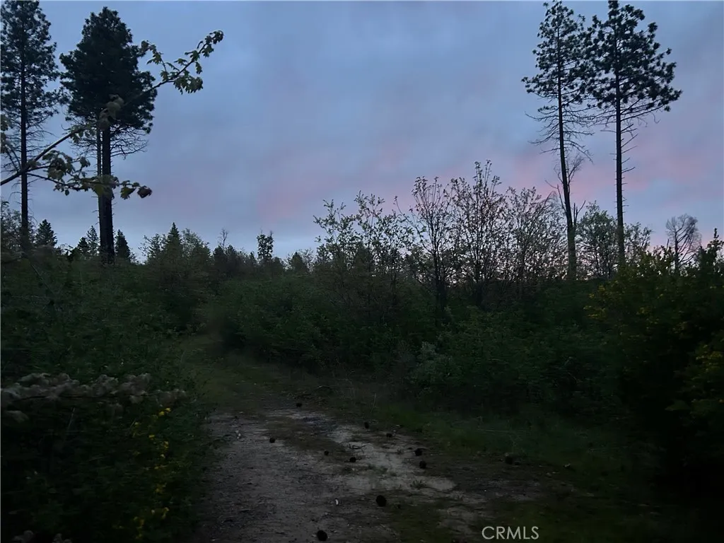a view of a outdoor space and a yard