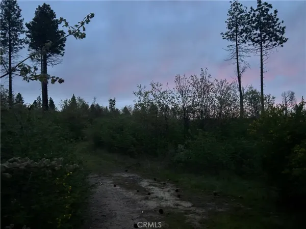 $75,000 | 1 Hog Ranch Road, Sausalito, CA 94965