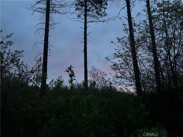 a view of a lake in between the trees