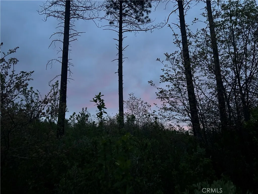 1 Hog Ranch Road Sausalito, CA 94965 - Photo 2 of 4 a view of a lake in between the trees