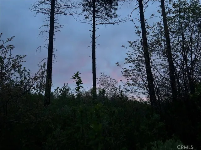 a view of a lake in between the trees