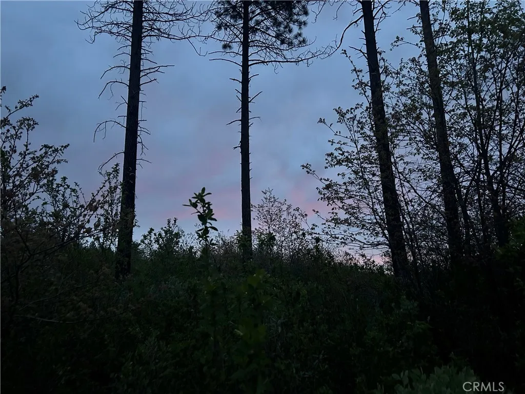 1 Hog Ranch Road Sausalito, CA 94965 - Photo 2 of 4 a view of a lake in between the trees