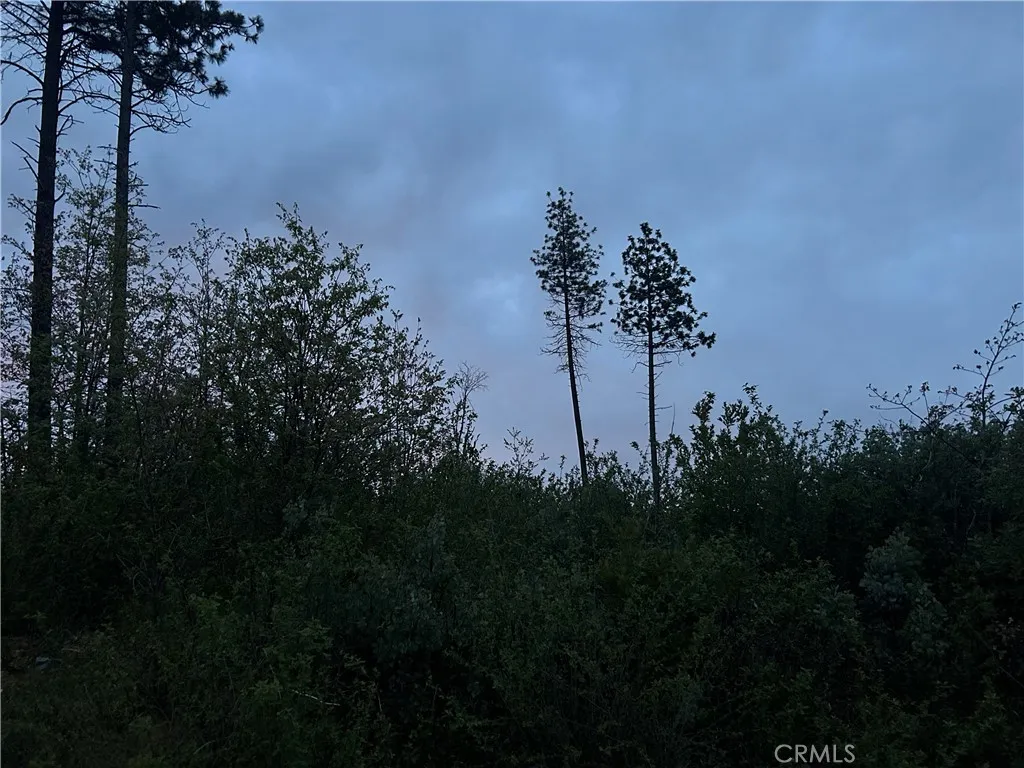 1 Hog Ranch Road Sausalito, CA 94965 - Photo 3 of 4 a view of a lake