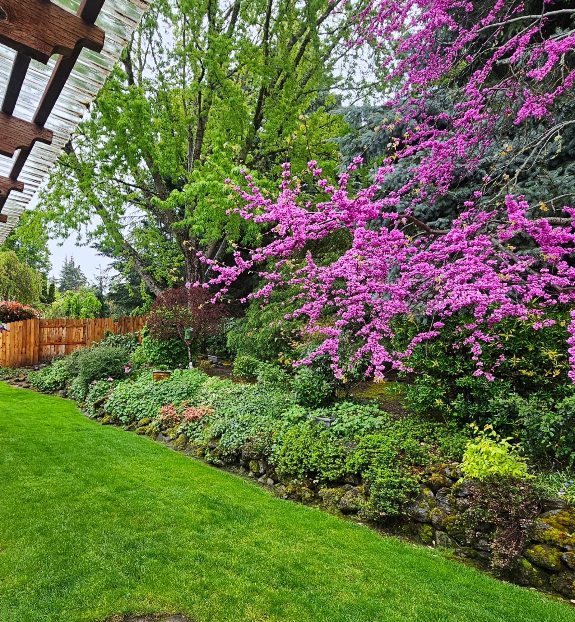 4442 Hillcrest Road Medford, OR 97504 - Photo 28 of 56 7944382696869113161