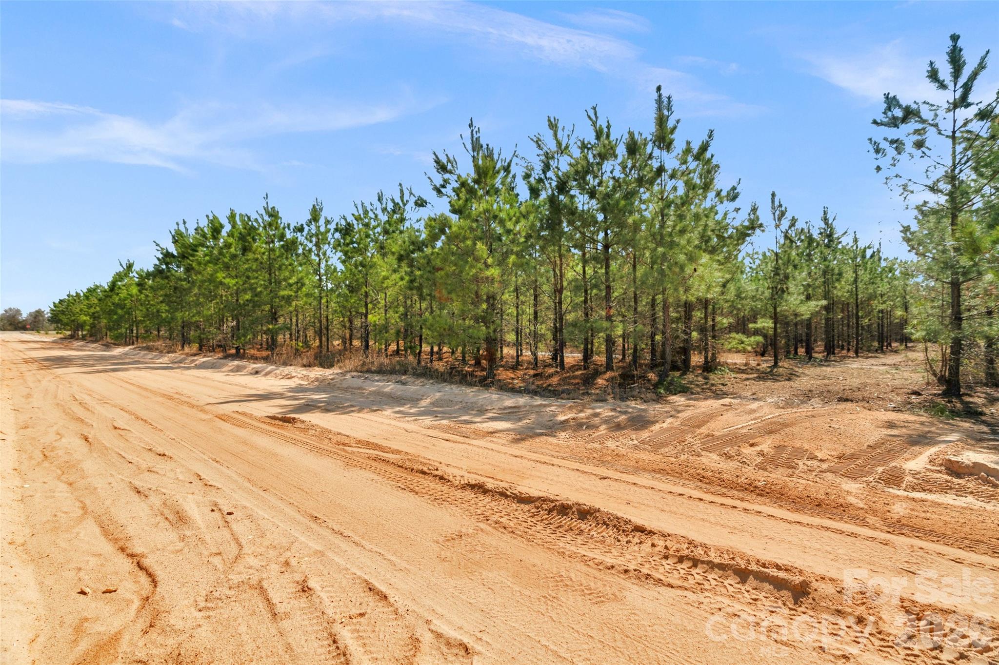 931 Charlie Johnson Road, Unit 11 Kershaw, SC 29067 - Photo 5 of 27 Gallery Image 5