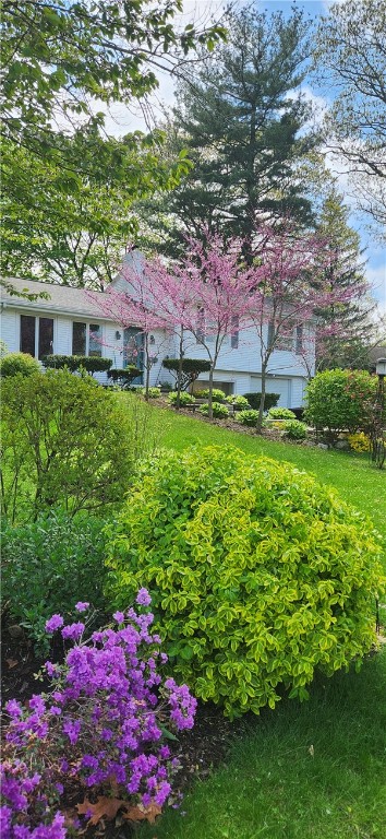 86 Shenandoah Road Warwick, RI 02886 - Photo 3 of 17