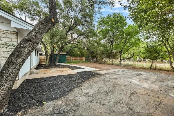 a view of a yard with plants and trees