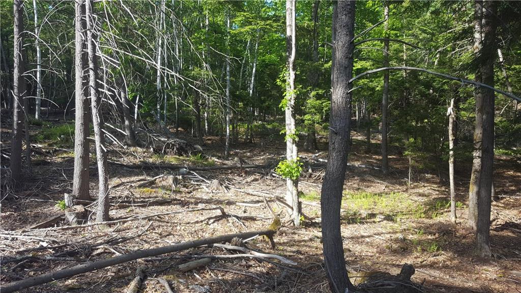 0 Fisher Road Bowdoinham, ME 04008 - Photo 20 of 21 Photo