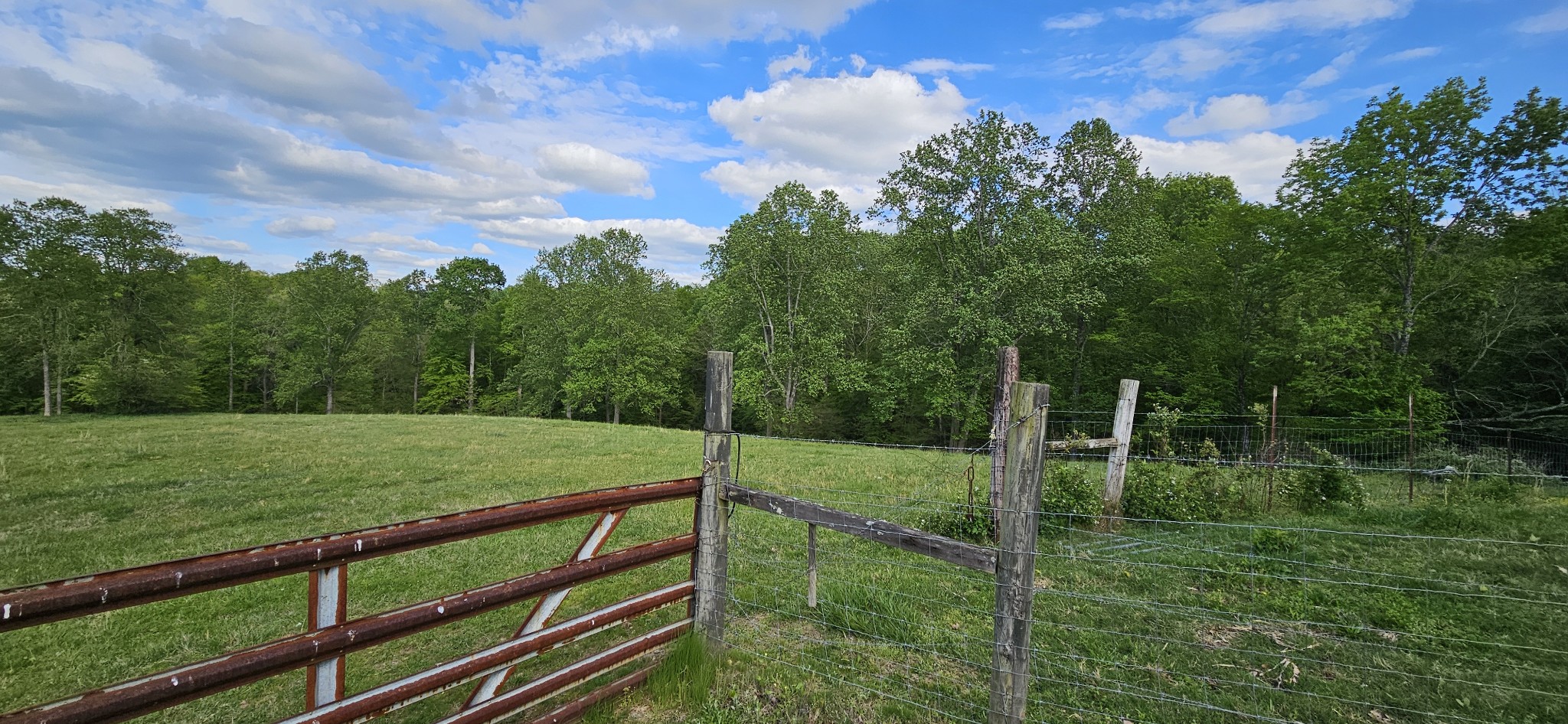 1733 Maple Valley Road Charlotte, TN 37036 - Photo 6 of 24 Gallery Image 6