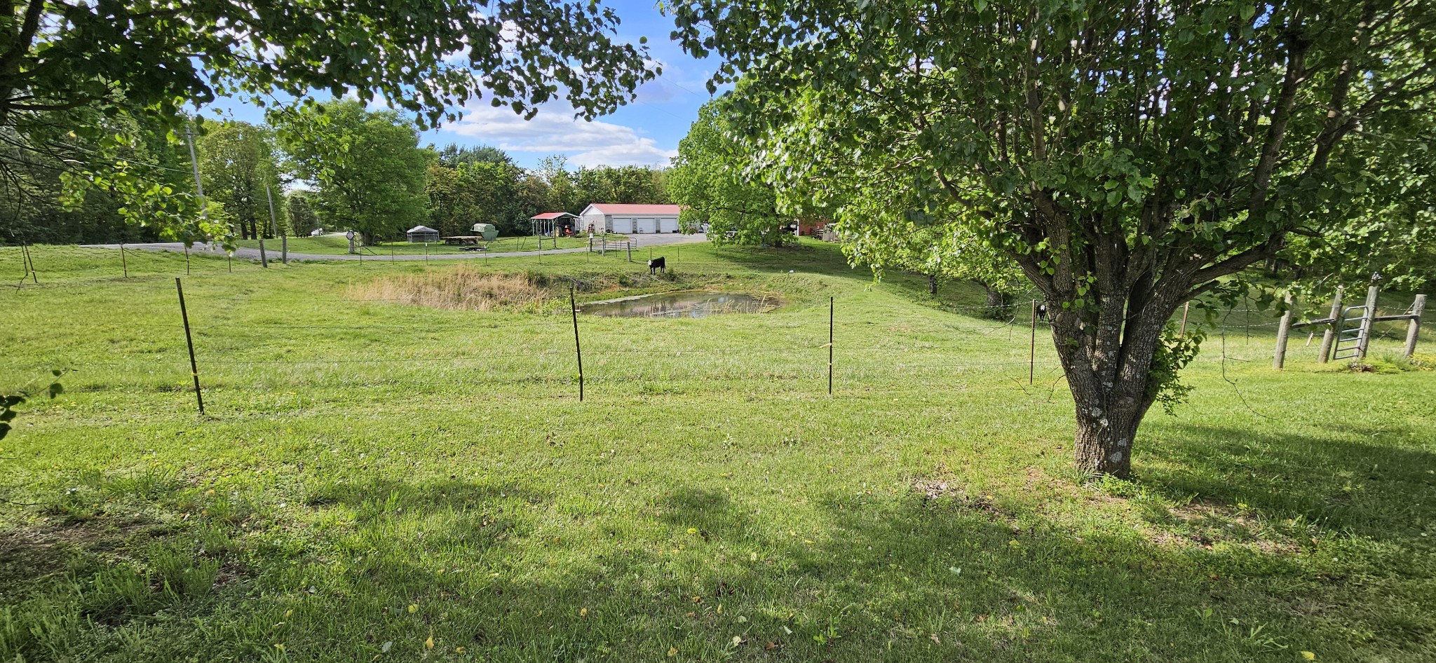 1733 Maple Valley Road Charlotte, TN 37036 - Photo 10 of 24 Gallery Image 10