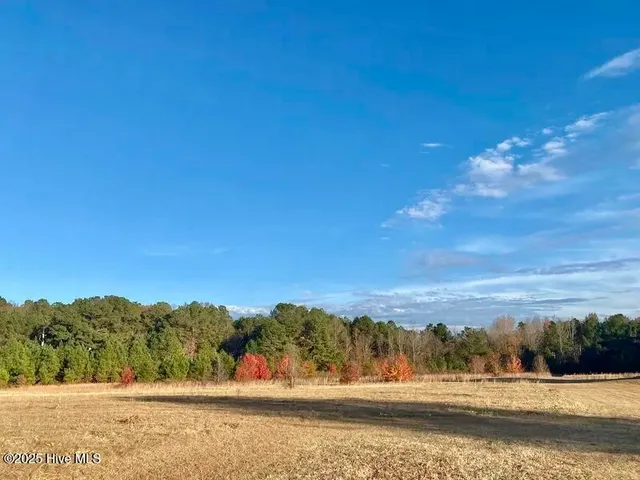 $763,900 | Tbd Hamer Mill Road, Rockingham, NC 28379