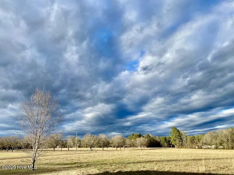 Tbd Hamer Mill Road Rockingham, NC 28379 - Photo 2 of 19 #4
