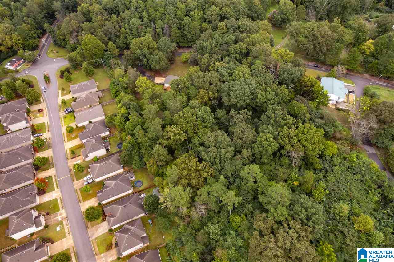 5525 Dewey Heights Road Pinson, AL 35126 - Photo 40 of 40