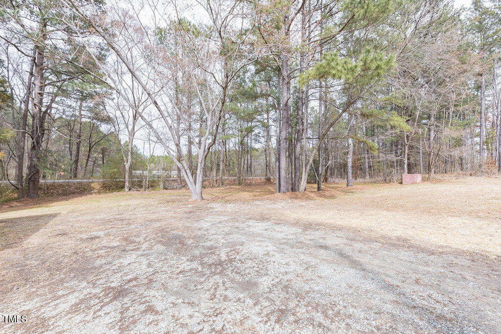 4814 Fayetteville Road Durham, NC 27713 - Photo 29 of 32 a view of outdoor space with trees