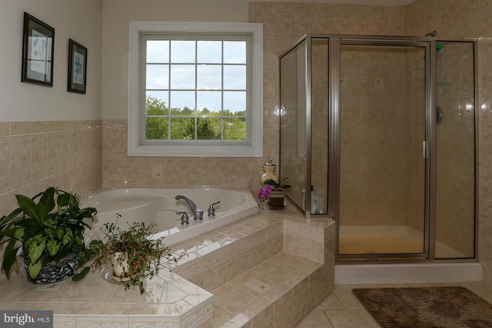 28735 Jacks Field Road Wye Mills, MD 21679 - Photo 26 of 30 Bath (Master)