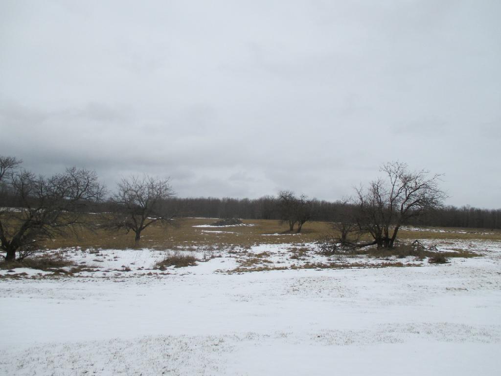 4408 Dagett Road Alpena, MI 49707 - Photo 16 of 19 Gallery Image 16