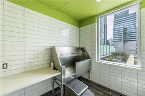 222 West Avenue, Unit 2207 Austin, TX 78701 - Photo 13 of 30 Dedicated pet washing station featuring a stainless steel basin with ramp access, white subway tile walls, a lime green ceiling, and a large window overlooking city buildings and a planted outdoor area