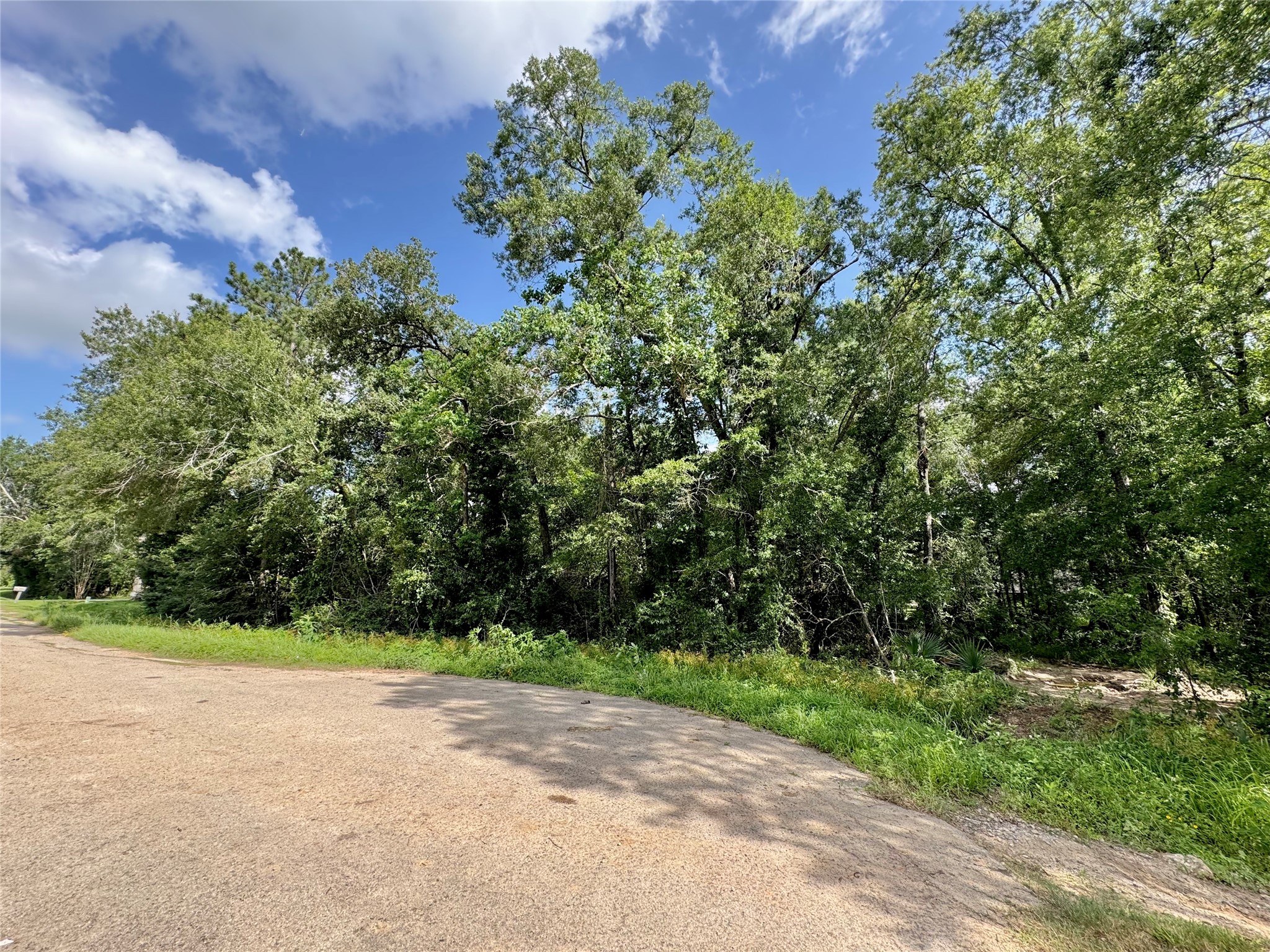 23585-23611 Flower Ridge Porter, TX 77365 - Photo 4 of 5 a view of a yard with plants and a large tree