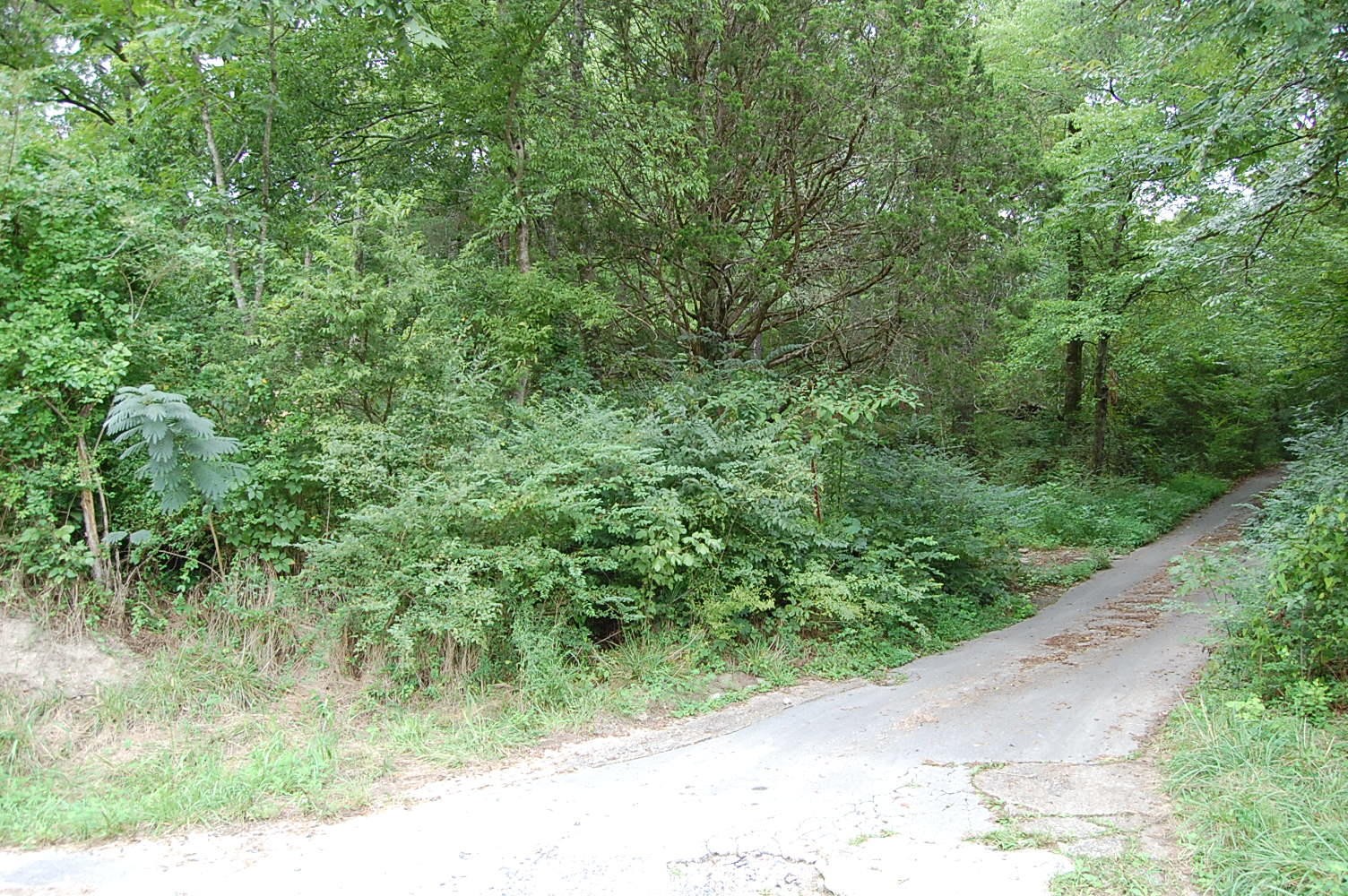 10970 Loop Road Soddy-Daisy, TN 37379 - Photo 1 of 9 Gallery Image 1