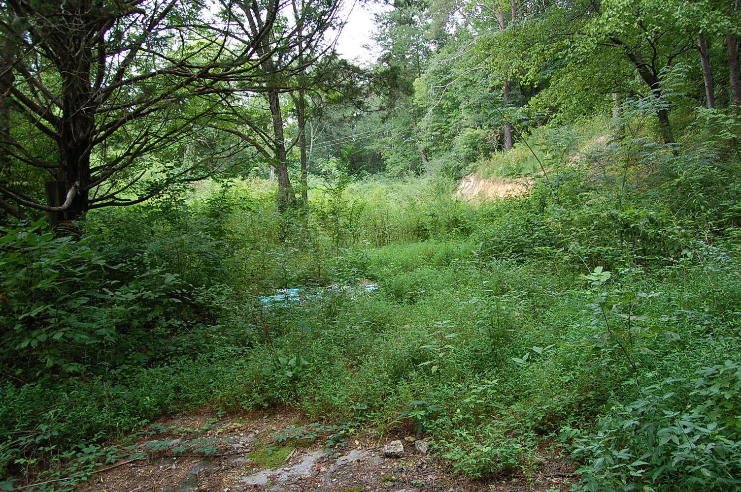 10970 Loop Road Soddy-Daisy, TN 37379 - Photo 3 of 9 Gallery Image 3