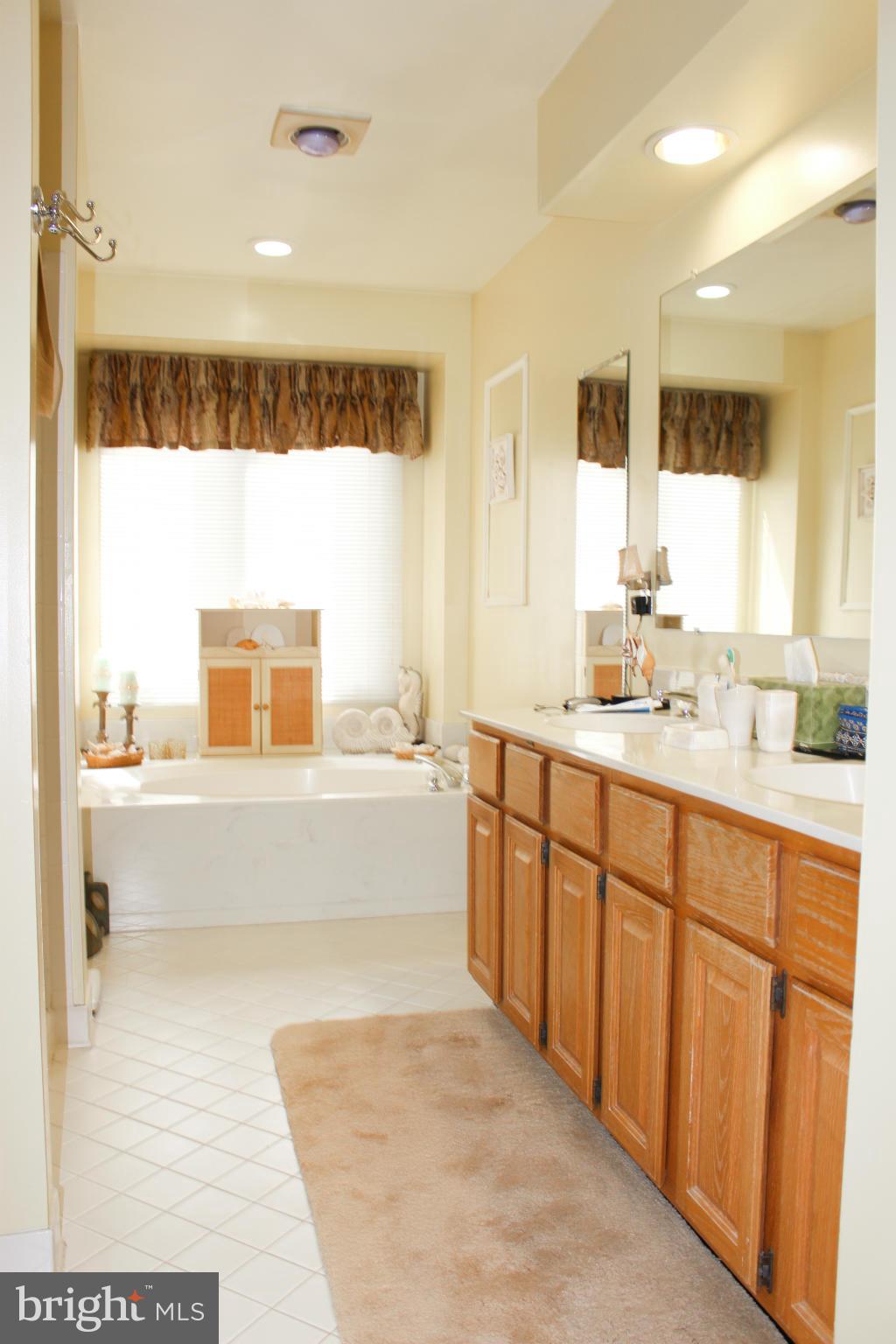1313 Wedgewood Manor Way Reston, VA 20194 - Photo 14 of 30 a bathroom with a tub sink and mirror