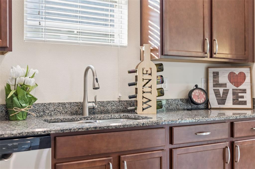 1013 Sadie Ridge Road Clermont, FL 34715 - Photo 9 of 40