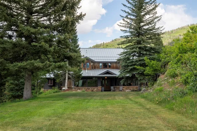 a view of a backyard with plants and large trees