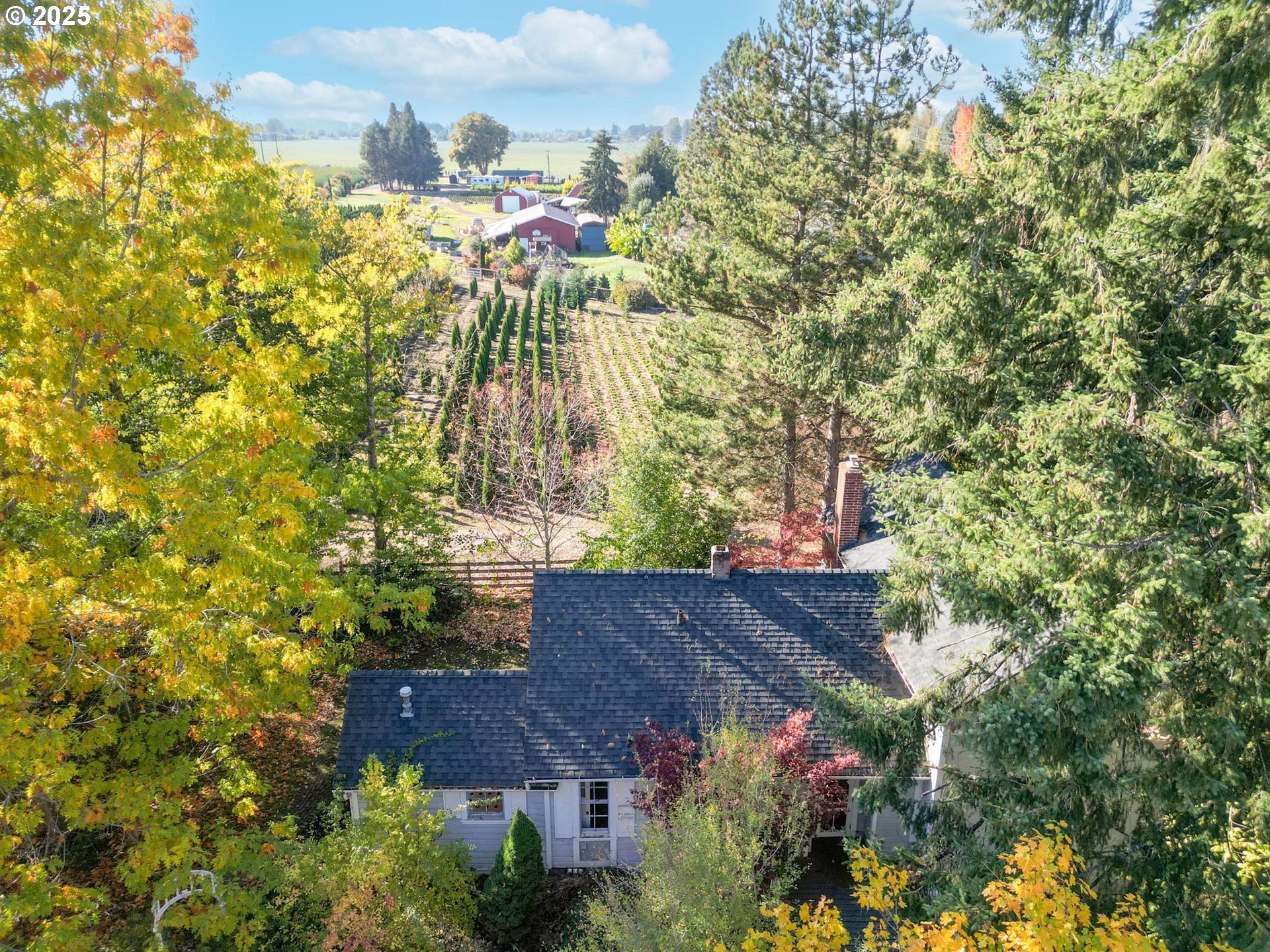 10478 Crosby Road Northeast Woodburn, OR 97071 - Photo 34 of 43
