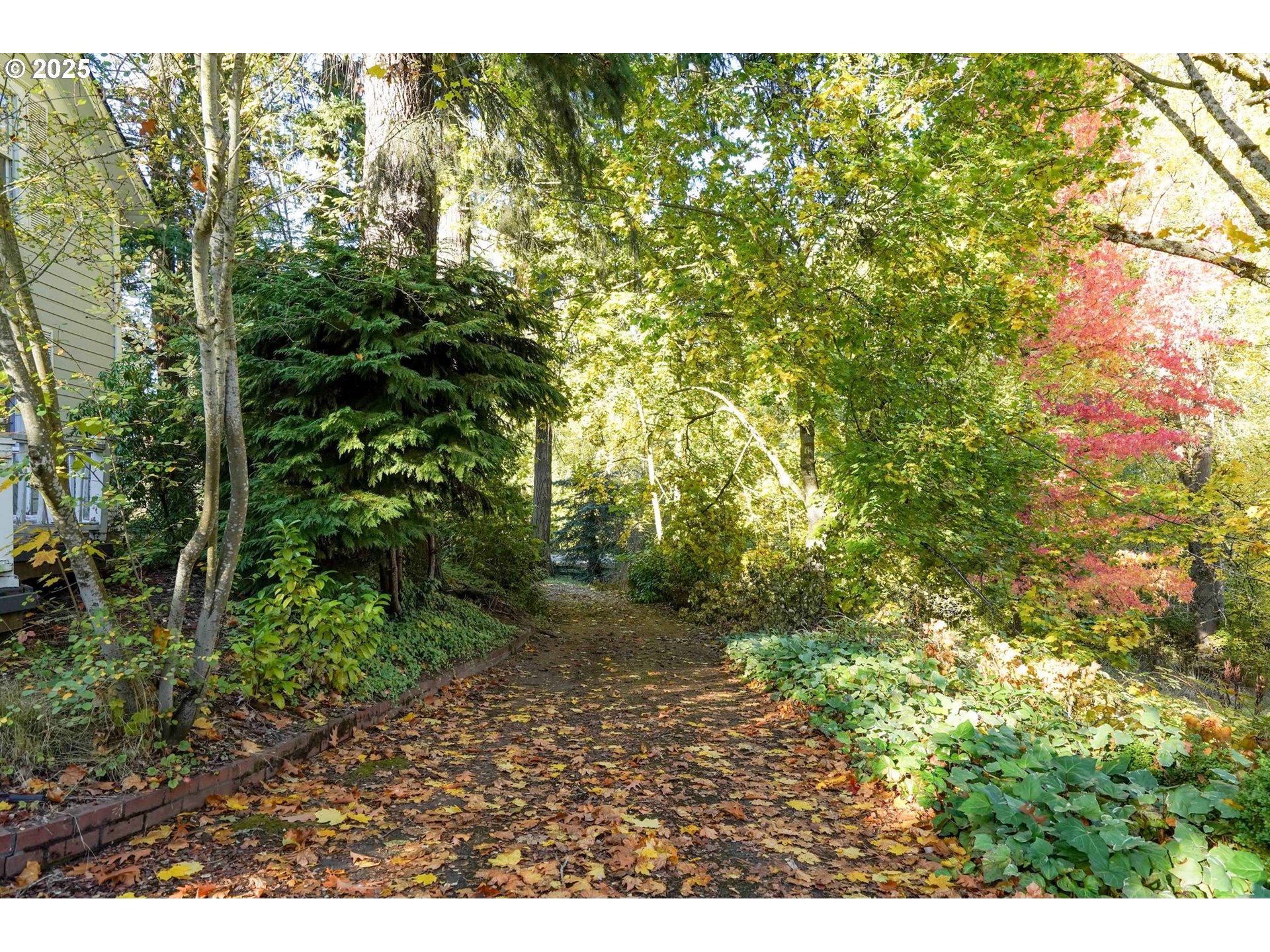 10478 Crosby Road Northeast Woodburn, OR 97071 - Photo 38 of 43 a view of a yard with plants and large trees