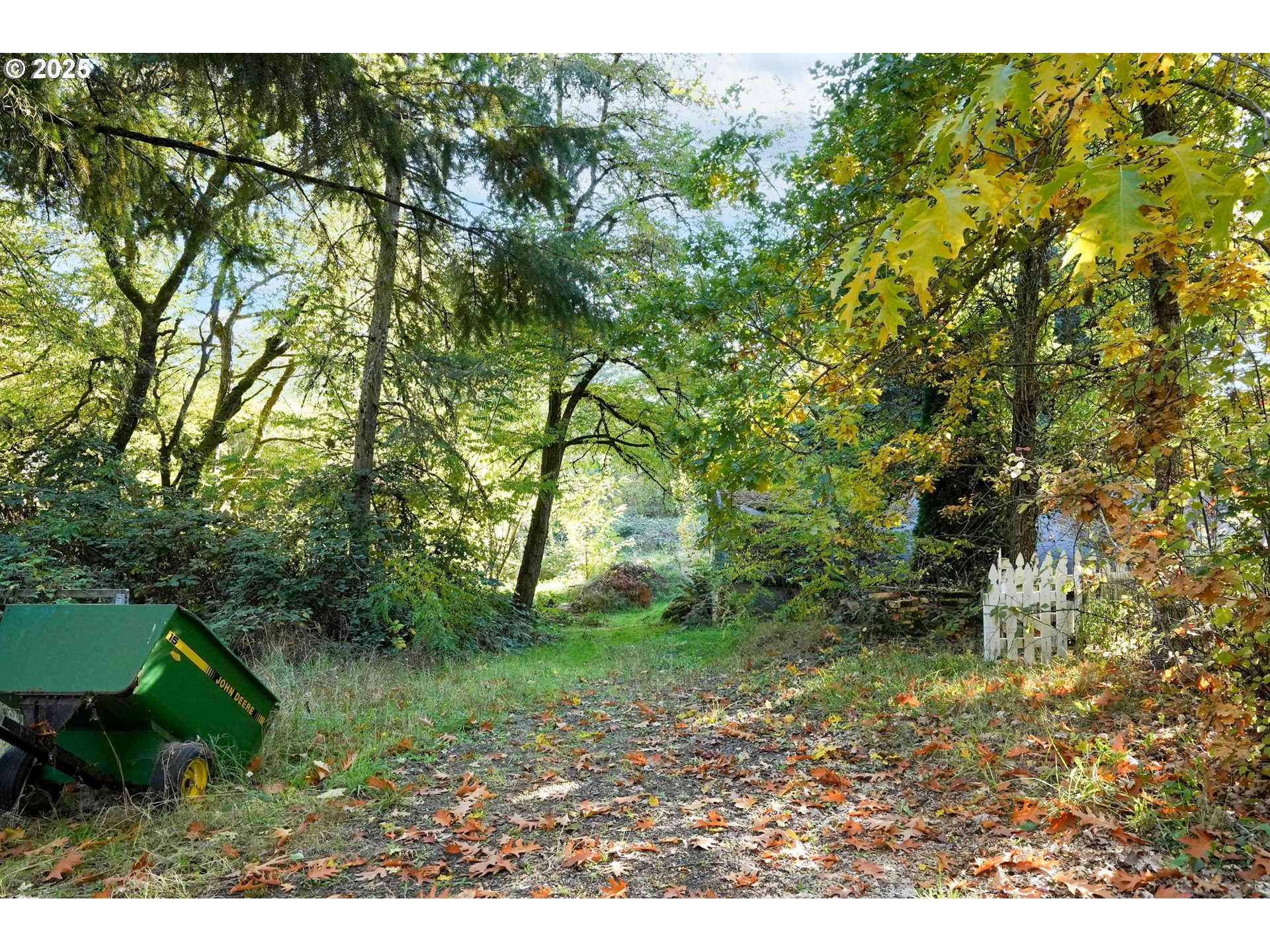 10478 Crosby Road Northeast Woodburn, OR 97071 - Photo 42 of 43 a view of a yard