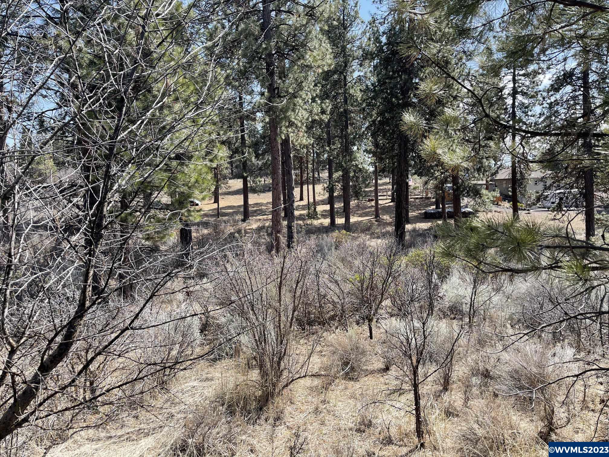 Irving (lot Chiloquin, OR 97624 - Photo 5 of 9