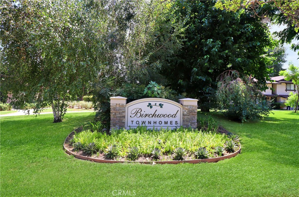 a garden view with a fountain