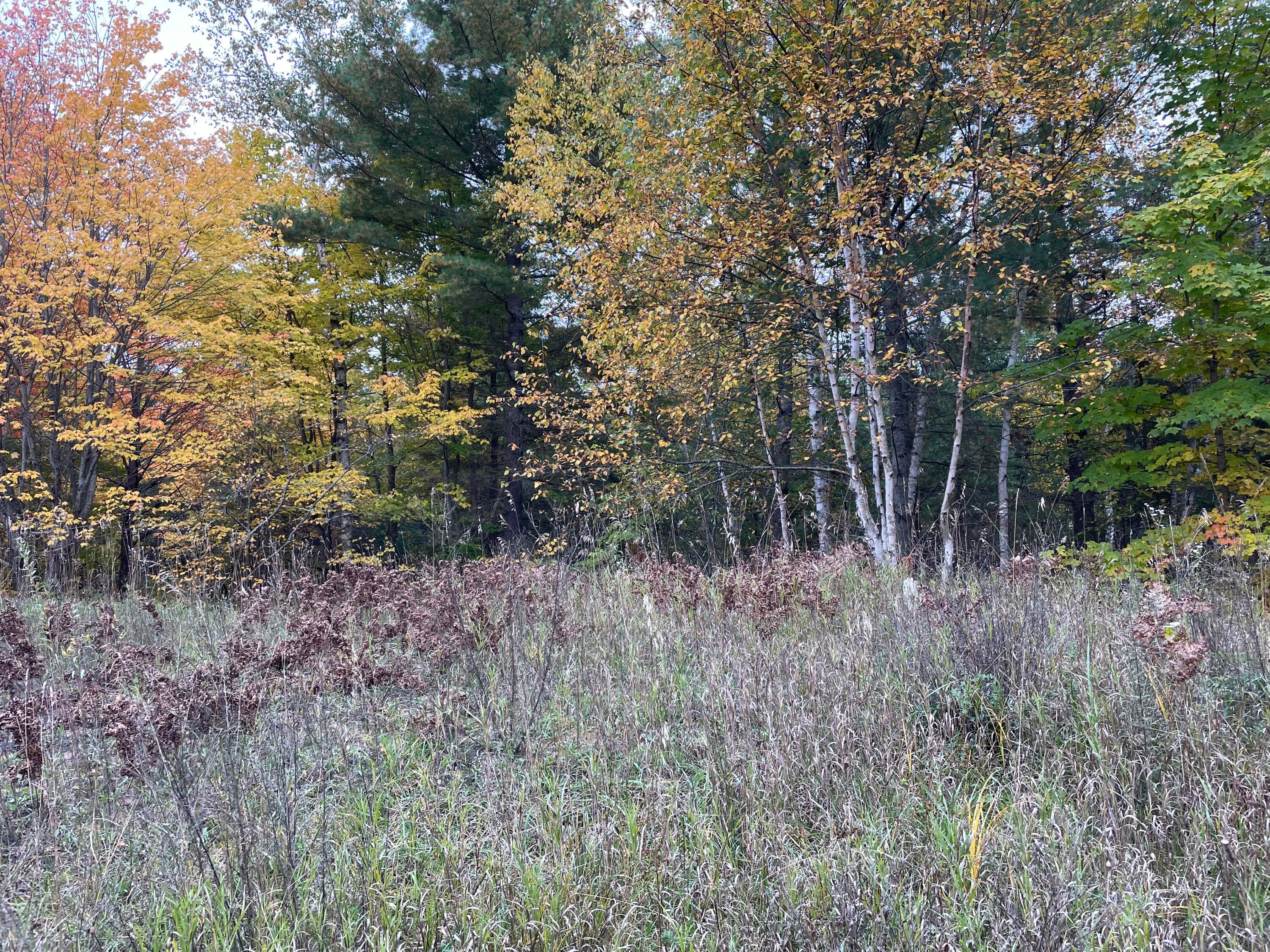 8925 West Thompson Road Rudyard, MI 49780 - Photo 14 of 16 Gallery Image 14