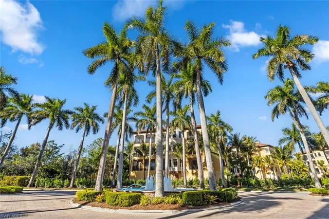 a view of a palm tree with flower plants