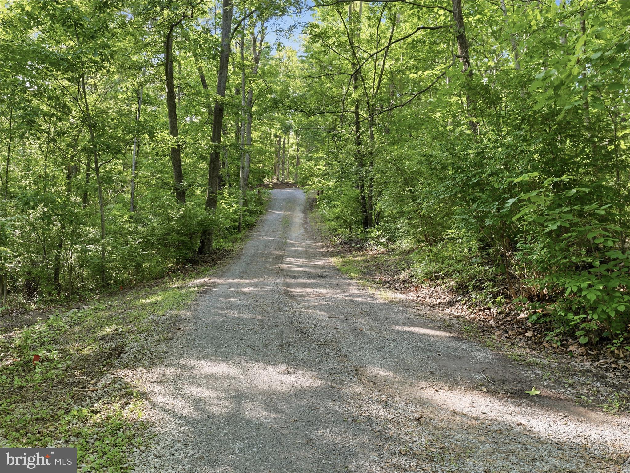 286 Tub Run Hollow Road Hedgesville, WV 25427 - Photo 63 of 72 Private drive leads to the property