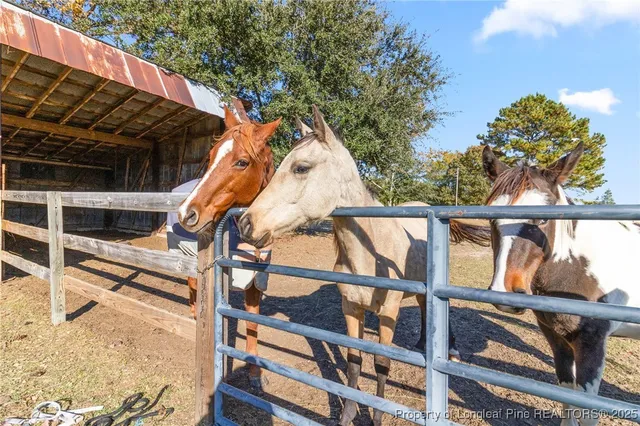 $479,000 | 832 Jackson Springs Road, West End, NC 27376