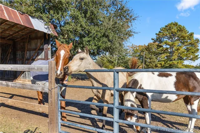 $479,000 | 832 Jackson Springs Road, West End, NC 27376